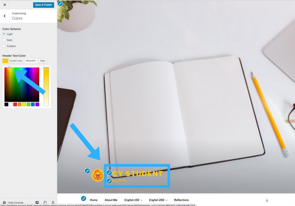 The customize panel screenshot step 4 changing colors on your site