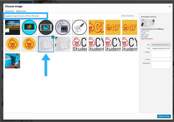 The customize panel screenshot step 5b adding and selecting a photo for header media