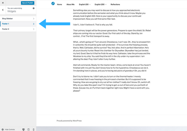 The customize panel screenshot step 7a selecting the footer widget option