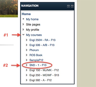 Screenshot 2: Use the navigation box and click the grey arrows to navigate different courses, the weeks under the courses, and the activities under the weeks.